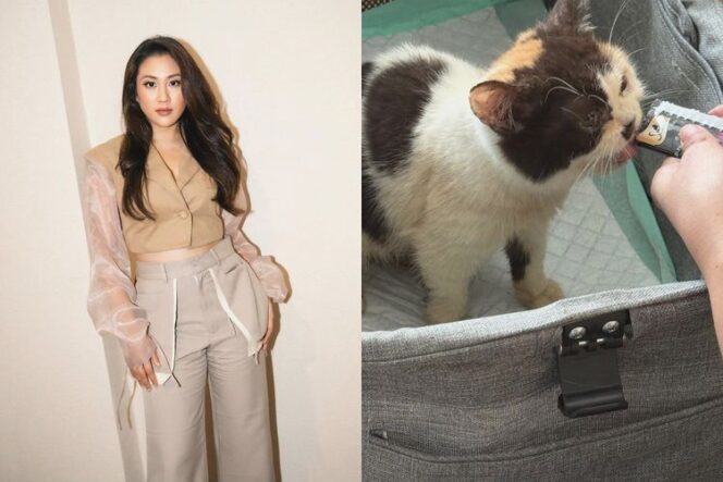 
					Sherina Munaf Diperiksa Polisi Gara-Gara Kucing Uya Kuya? Kok Bisa?