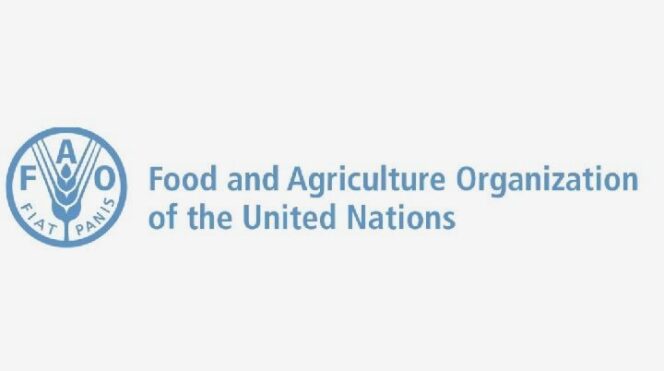 
					Harga Pangan Global Naik Lagi! FAO Umumkan Penyebabnya