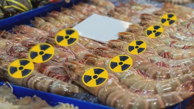 
					Ini Hasil Investigasi Kasus Udang yang Terpapar Radioaktif