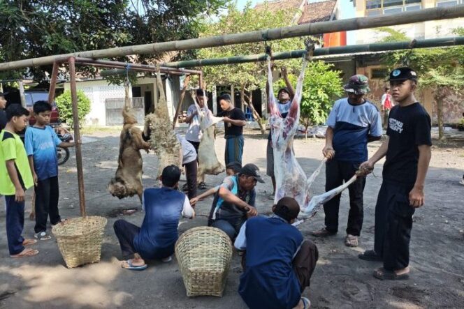 
					Idul Adha 1447 H: Yayasan Ar Rahmah Sembelih 6 Sapi dan 21 Kambing