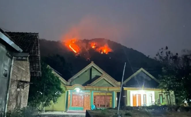 
					7 Hektare Lahan Jati di Gunung Bungkuk Magetan Hangus Terbakar, BPBD Ingatkan Warga Waspada