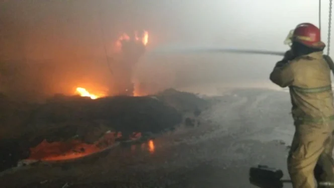 
					Api Melalap Serbuk Kayu di Gresik: Pelajaran Berharga dari Insiden Gudang PT Kaliandra