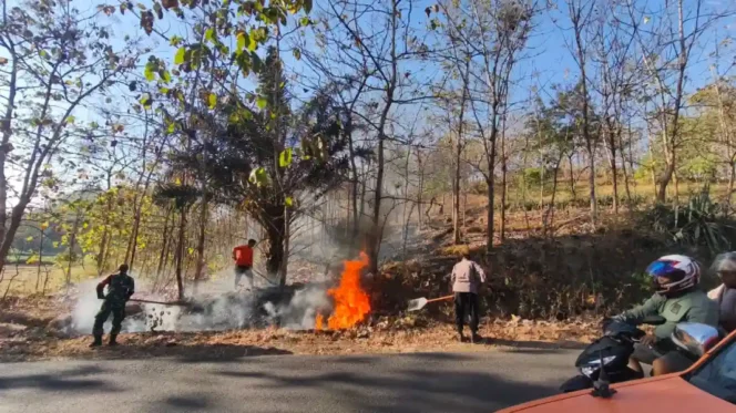 
					Jilatan Api di Lereng Ponorogo: Kemarau Panjang Menguji Ketahanan Hutan dan Kewaspadaan Warga