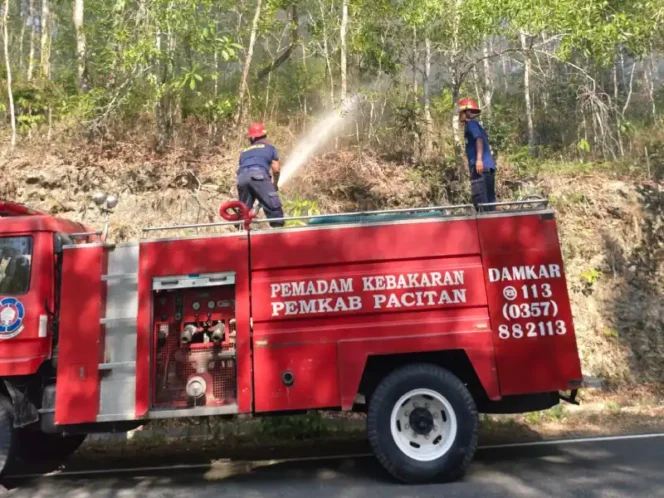 
					Ketika Hutan Pacitan Menyimpan Bara: Edukasi dan Ancaman Pidana di Balik Kemarau Panjang