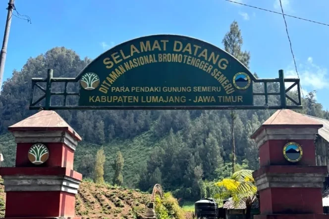 
					Langkah Terhenti di Kaki Semeru: Ratusan Pendaki Terpaksa Tunda Mimpi Ranu Kumbolo Akibat Kebakaran