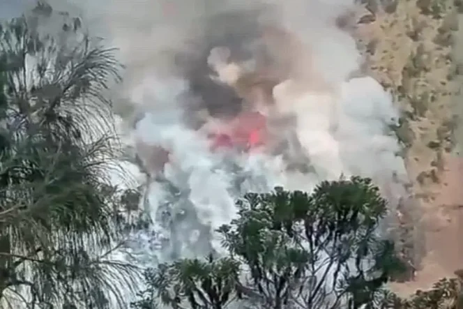 
					Nyala di Kaki Semeru: Medan Terjal, Asa Helikopter, dan Perjuangan Memadamkan Kebakaran TNBTS Lumajang