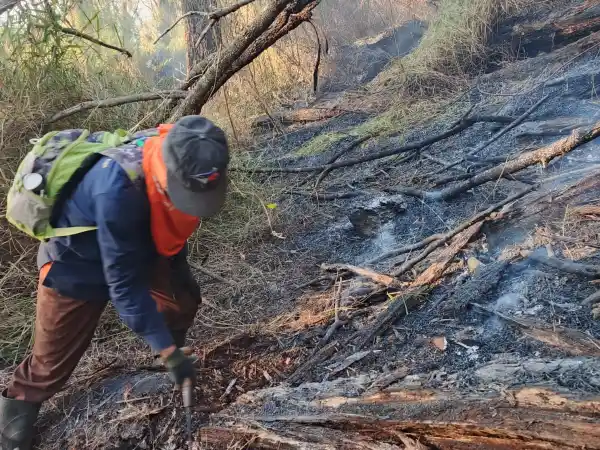 Bayangan Merah di Batas Hutan: Pasukan Penjaga Pasuruan Berjibaku Hadang Karhutla