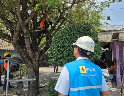 Jaringan Listrik dan Ancaman Ranting: Upaya PLN Bojonegoro Merawat Pasokan Energi dan Mengedukasi Warga