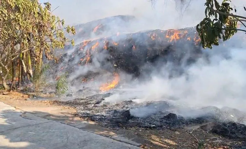 Ketika Gunung Sampah Membara: Pertarungan Melawan Api di TPA Belahantengah Mojokerto