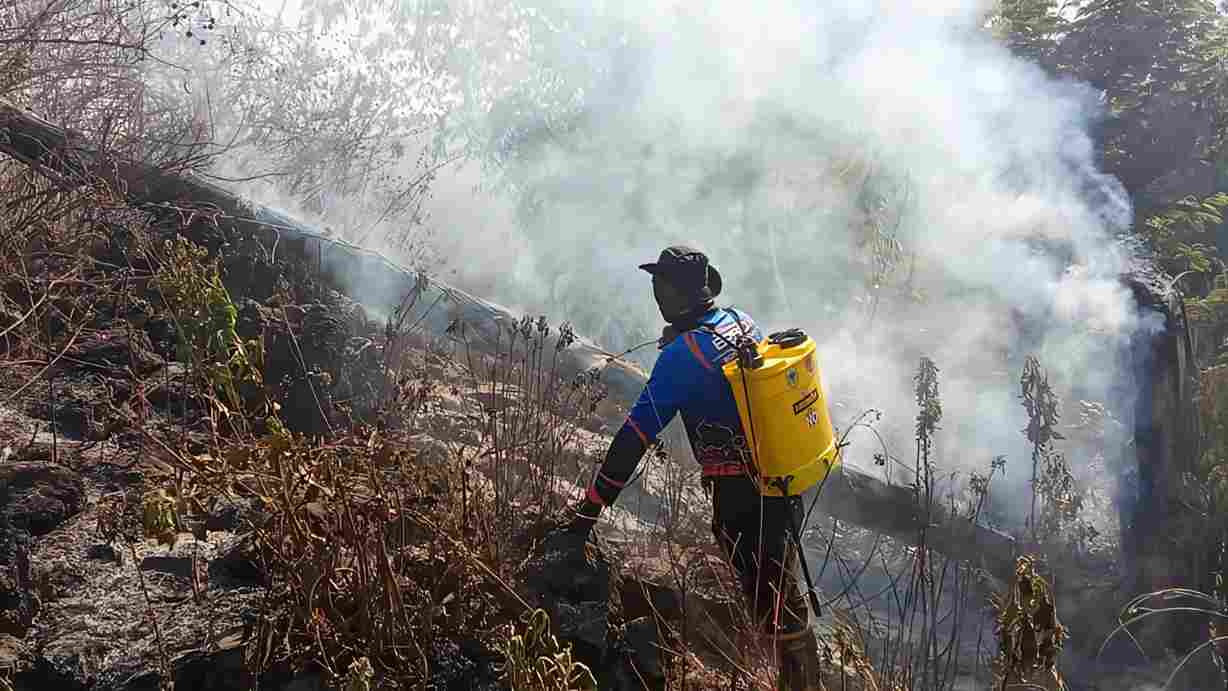 Luka di Lereng Ijen: Ketika Api Melahap Belasan Hektare Lahan Perhutani dan PTPN