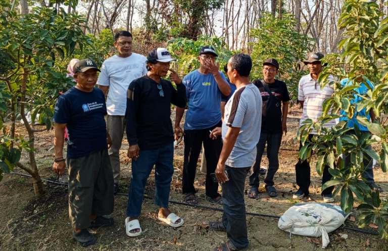 Menguak Potensi Agrowisata Kebun Babrik Raya: Pilar Ekonomi Muhammadiyah di Lamongan