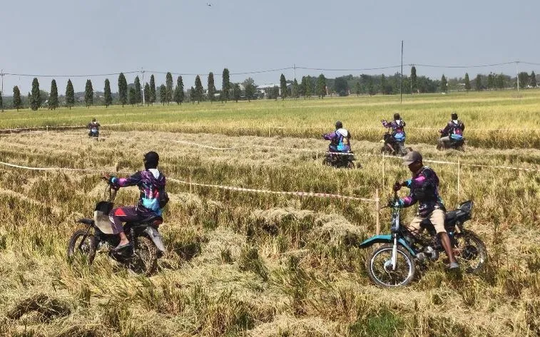 Menguji Adrenalin dan Ketangkasan: Balap Ojek Gabah Lamongan, Tradisi Syukur di Lahan Berlumpur