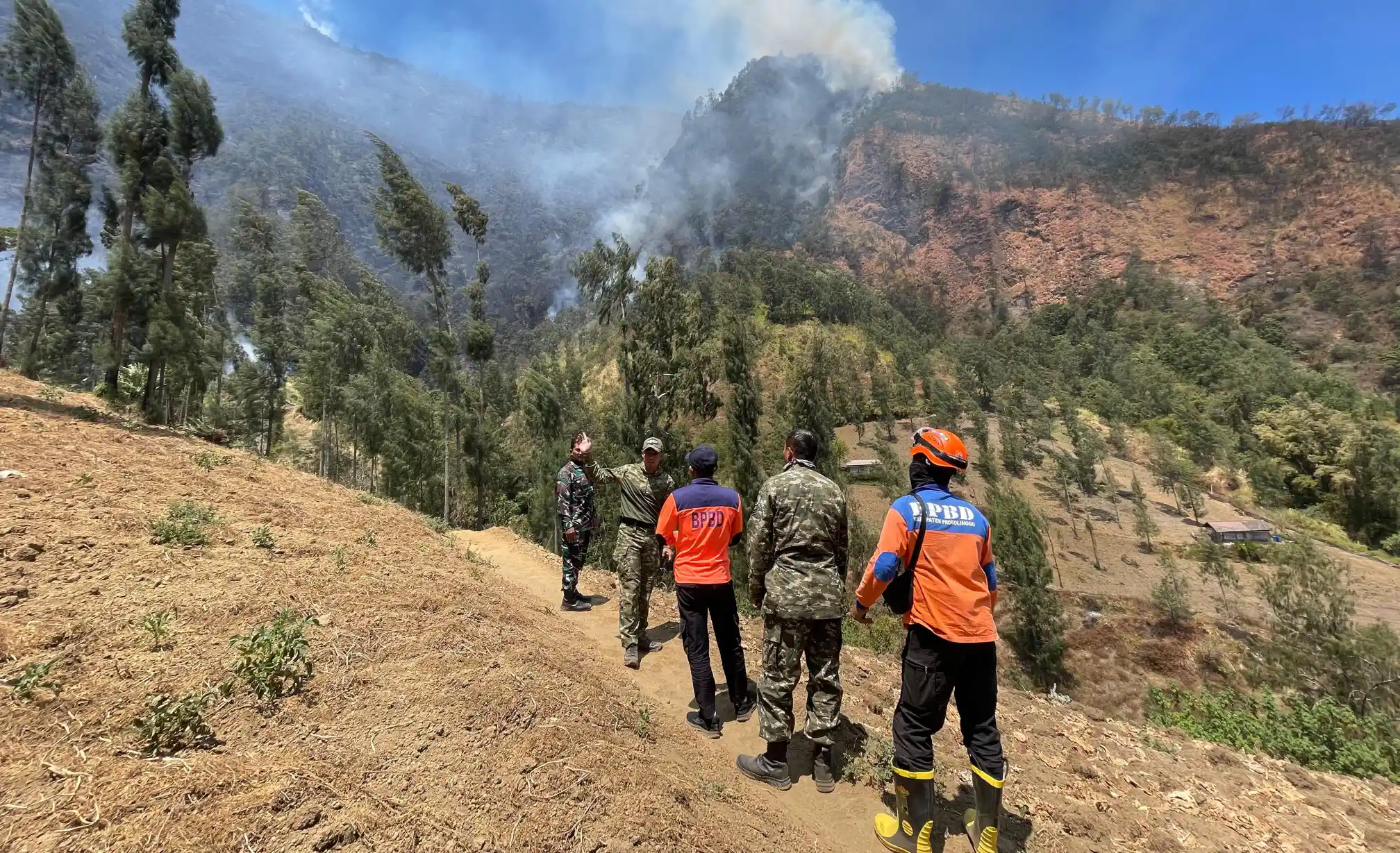 Api Abadi di Jantung Bromo: Pergulatan Petugas Melawan Amukan Karhutla di Probolinggo