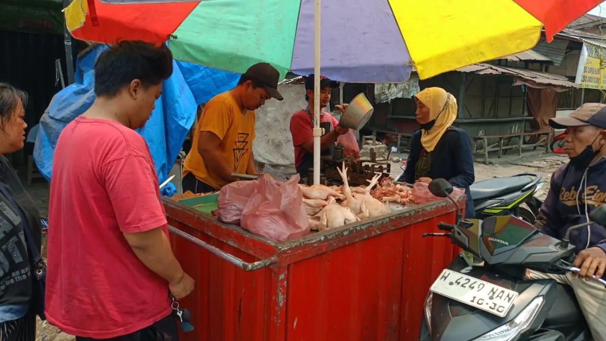 Harga Ayam Potong di Sidoarjo Meroket Rp 40 Ribu: Daya Beli Konsumen Anjlok 50%, Pedagang Cemas Jelang Tahun Baru