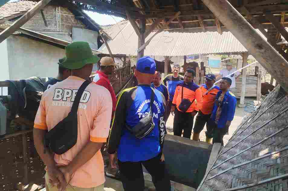 Ketika Pagar Tak Cukup Kuat: Tragedi Anak Sapi di Sumur Situbondo dan Pelajaran Berharga