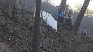 Nyawa yang Terenggut di Kaki Bromo: Kisah Heroisme dan Duka di Tengah Karhutla Probolinggo