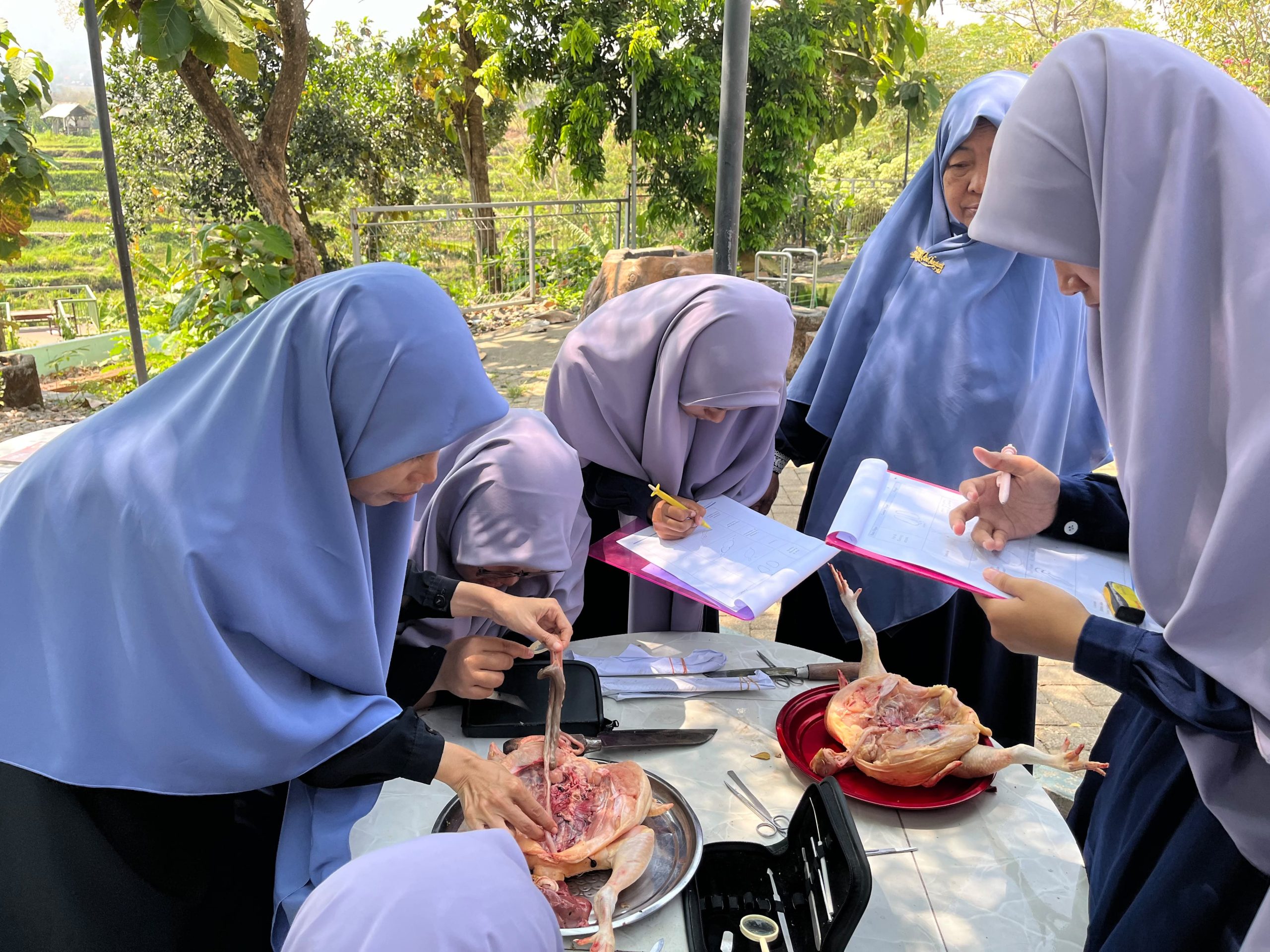 Santri eLKISI Kuasai 6 Bidang Ilmu Lewat Pembelajaran Terintegrasi Ayam