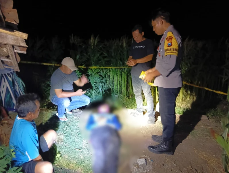 Senja di Tengah Jagung: Kisah Haru Lansia Kuli Bangunan yang Meninggal di Sawah Ponorogo